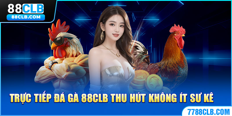 Trực tiếp đá gà 88CLB thu hút không ít sư kê